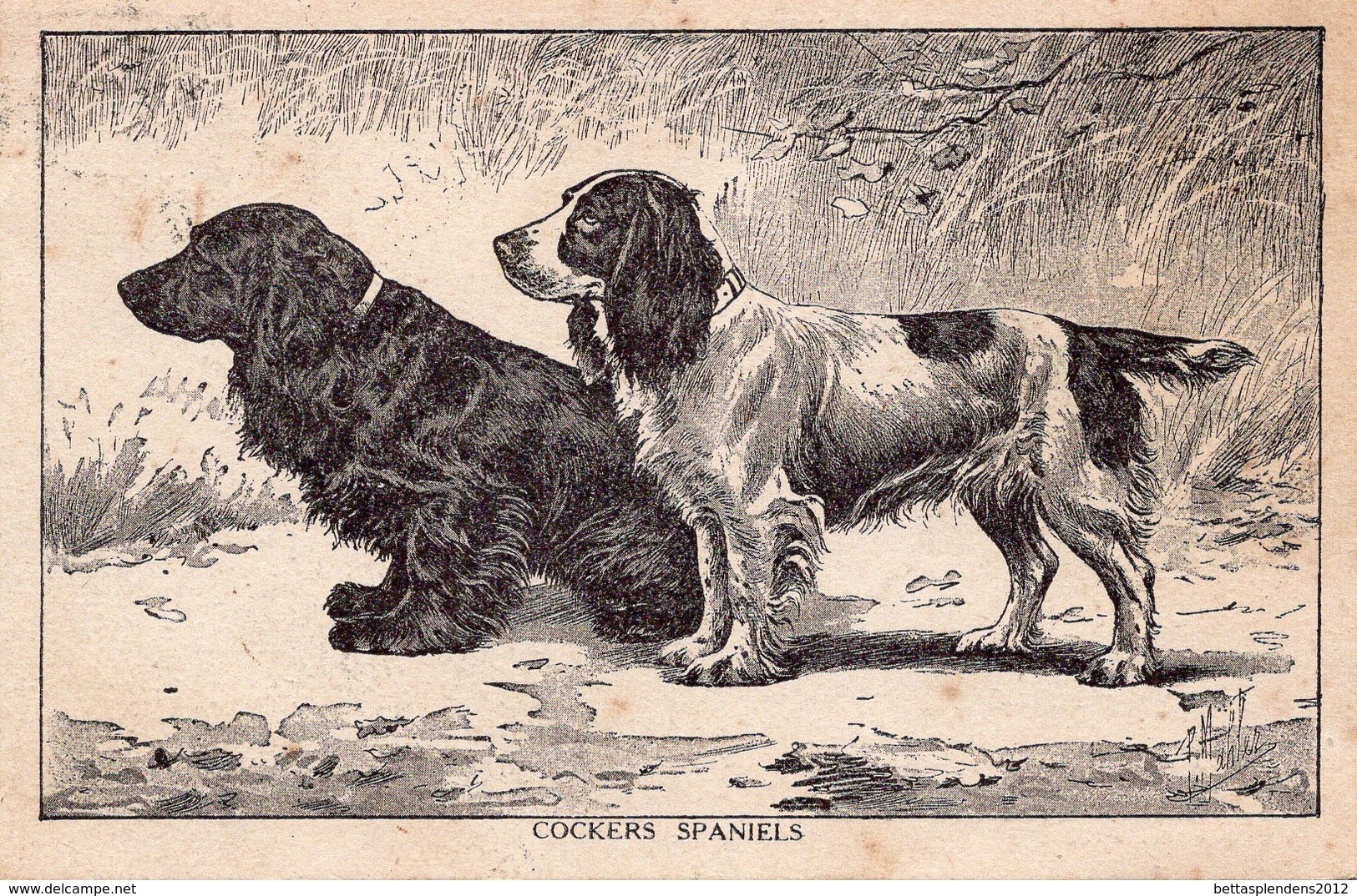 CPA - Le Chasseur Français SAINT ETIENNE - COCKERS SPANIELS - Perros