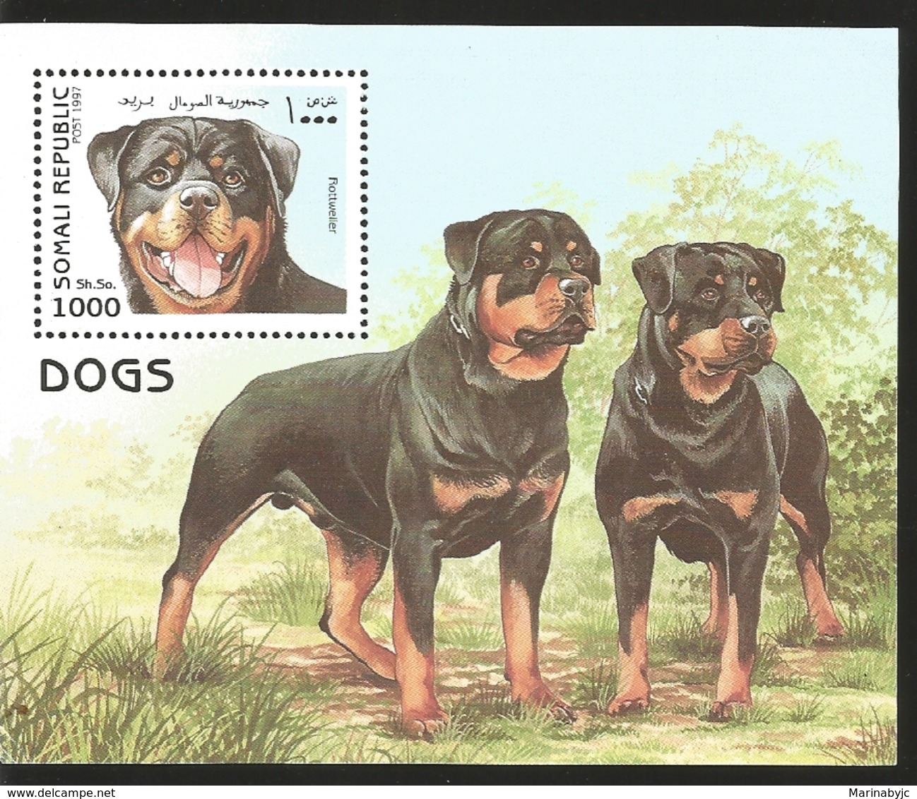 V) 1997 SOMALIA, DOGS, DOG ROTTWEILER, SOUVENIR SHEET, MNH - Somalia (1960-...)