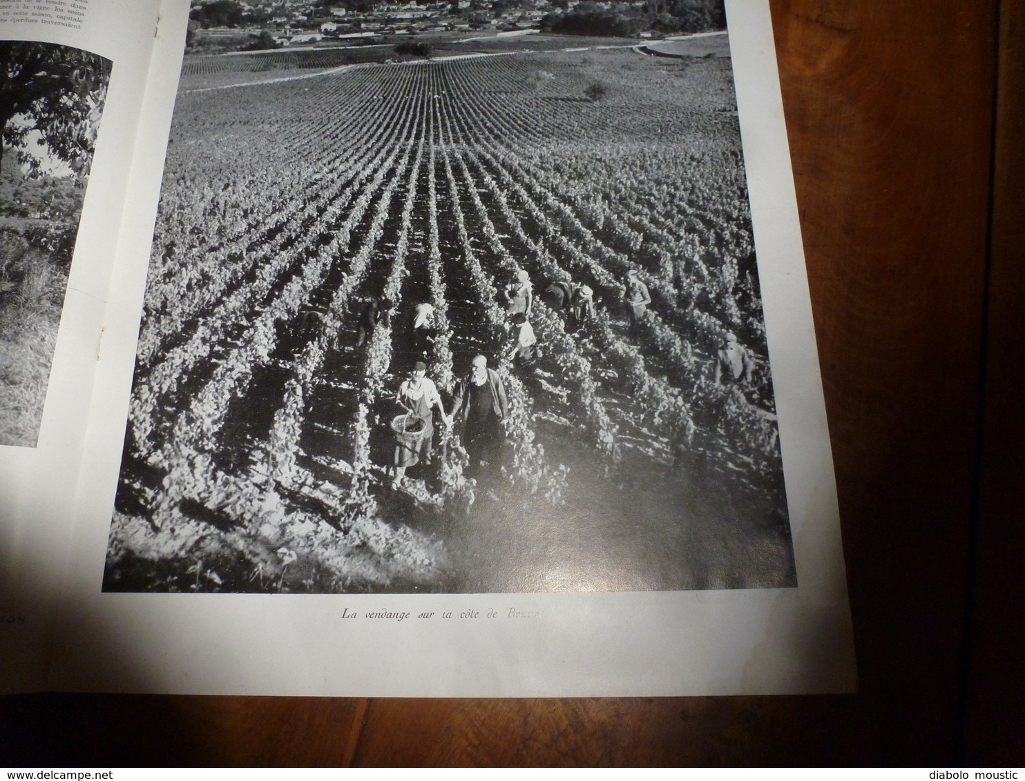 1940 L'ILLUSTRATION : Vendanges En Bourgogne (Beaune,Gevrey-Chambertin,Clos-Vougeot-Nuits-St-Georges,etc);La Brenne ;etc - L'Illustration