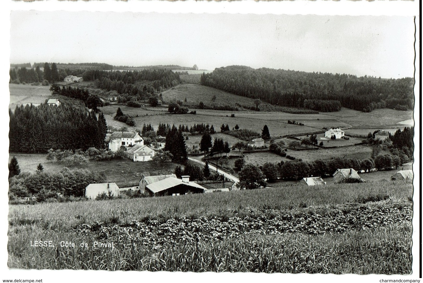 Lesse - Redu - Côte De Pinval - Circulée - Edit. Maison Steenberge à Lesse - 2 Scans - Libin