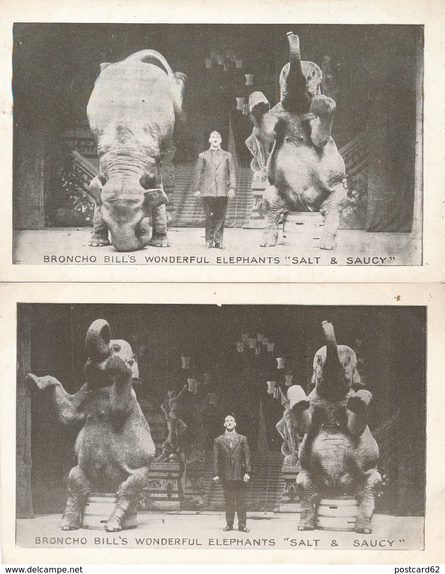 2 CPA Circus BRONCHO BILL'S Wonderful Elephants "Salt & Saucy" 1910s - Circus