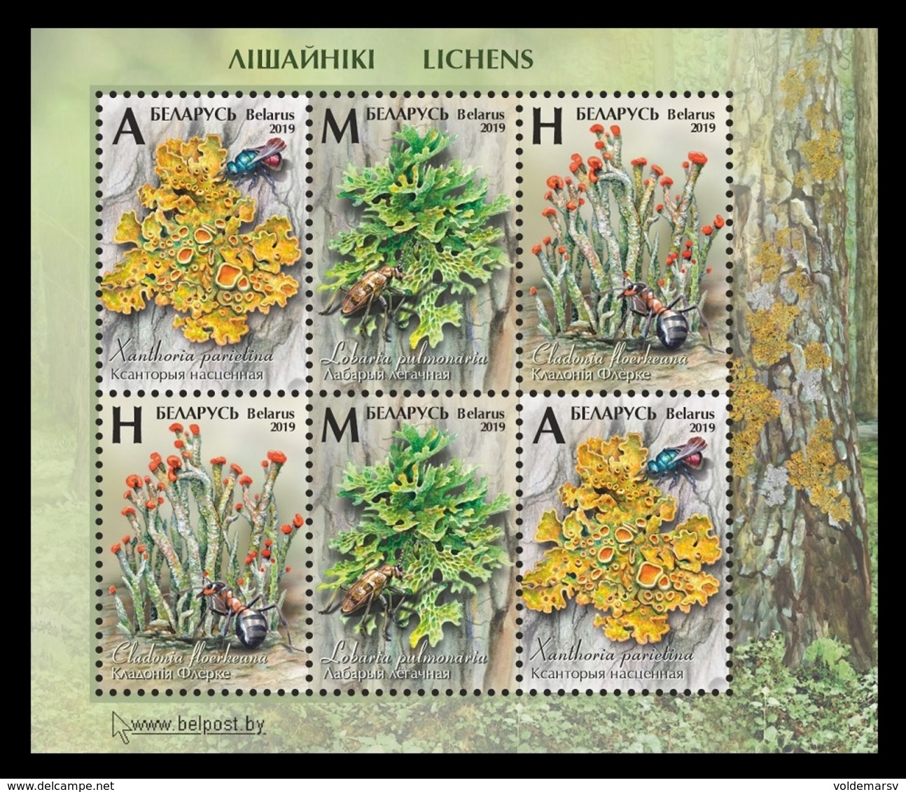 Belarus 2019 Mih. 1303/05 (Bl.177) Flora. Mushrooms. Lichens MNH ** - Belarus