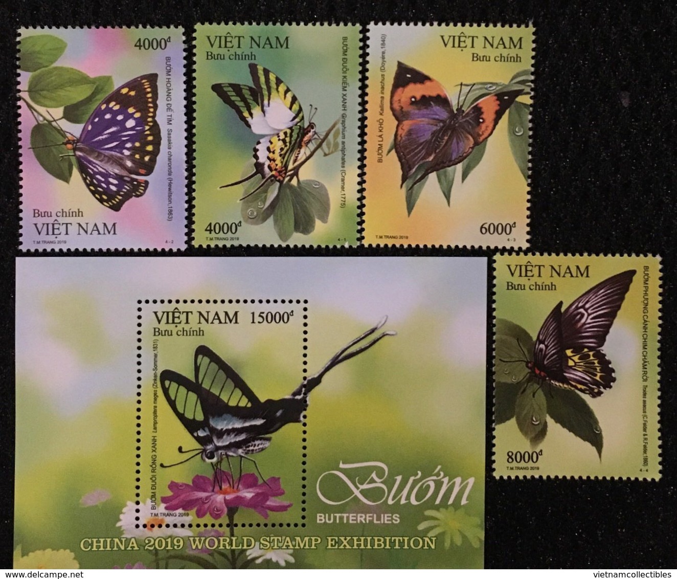 Viet Nam MNH Perf Stamps & Souvenir Sheet Issued On 11th Of Jun 2019 : Butterfly - Sent By FDC - Vietnam