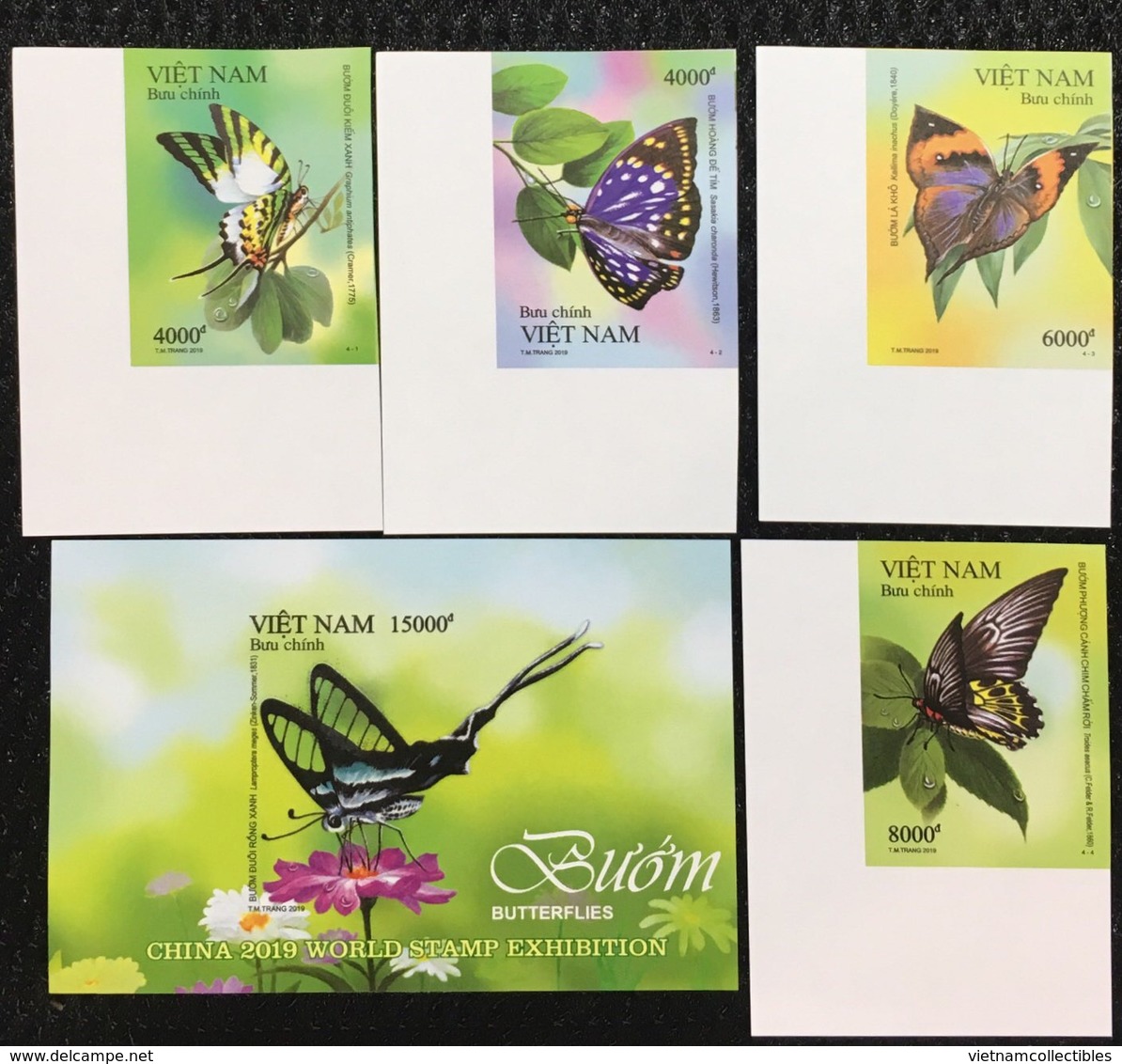 Viet Nam MNH Imperf Stamps & Souvenir Sheet Issued On 11th Of Jun 2019 : Butterfly - Sent By FDC - Vietnam