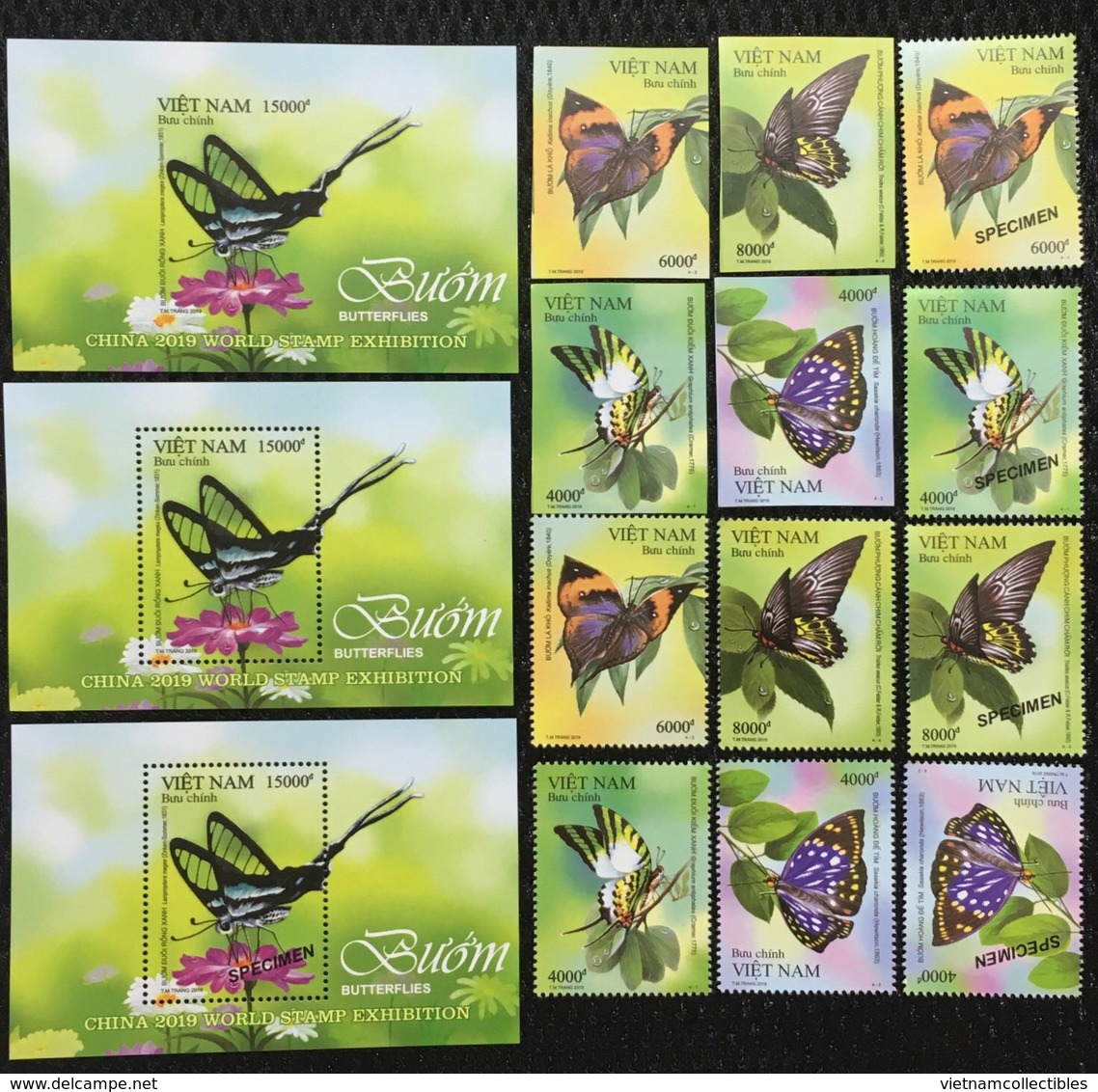 Viet Nam MNH Perf, Imperf & Specimen Stamps & Souvenir Sheet Issued On 11th Of Jun 2019 : Butterfly - Sent By FDC - Vietnam