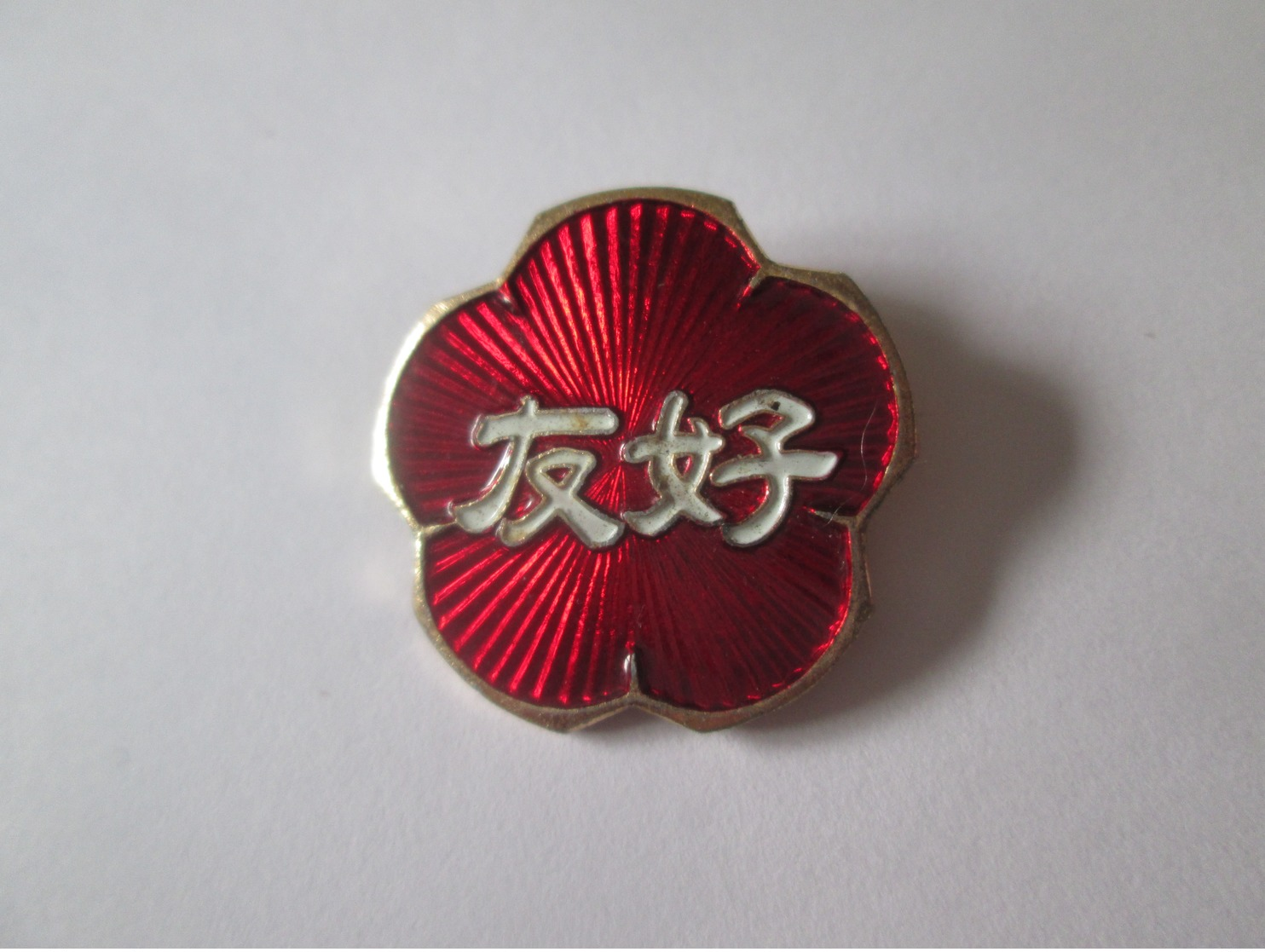 China Collector Badge From The 80s - Associations