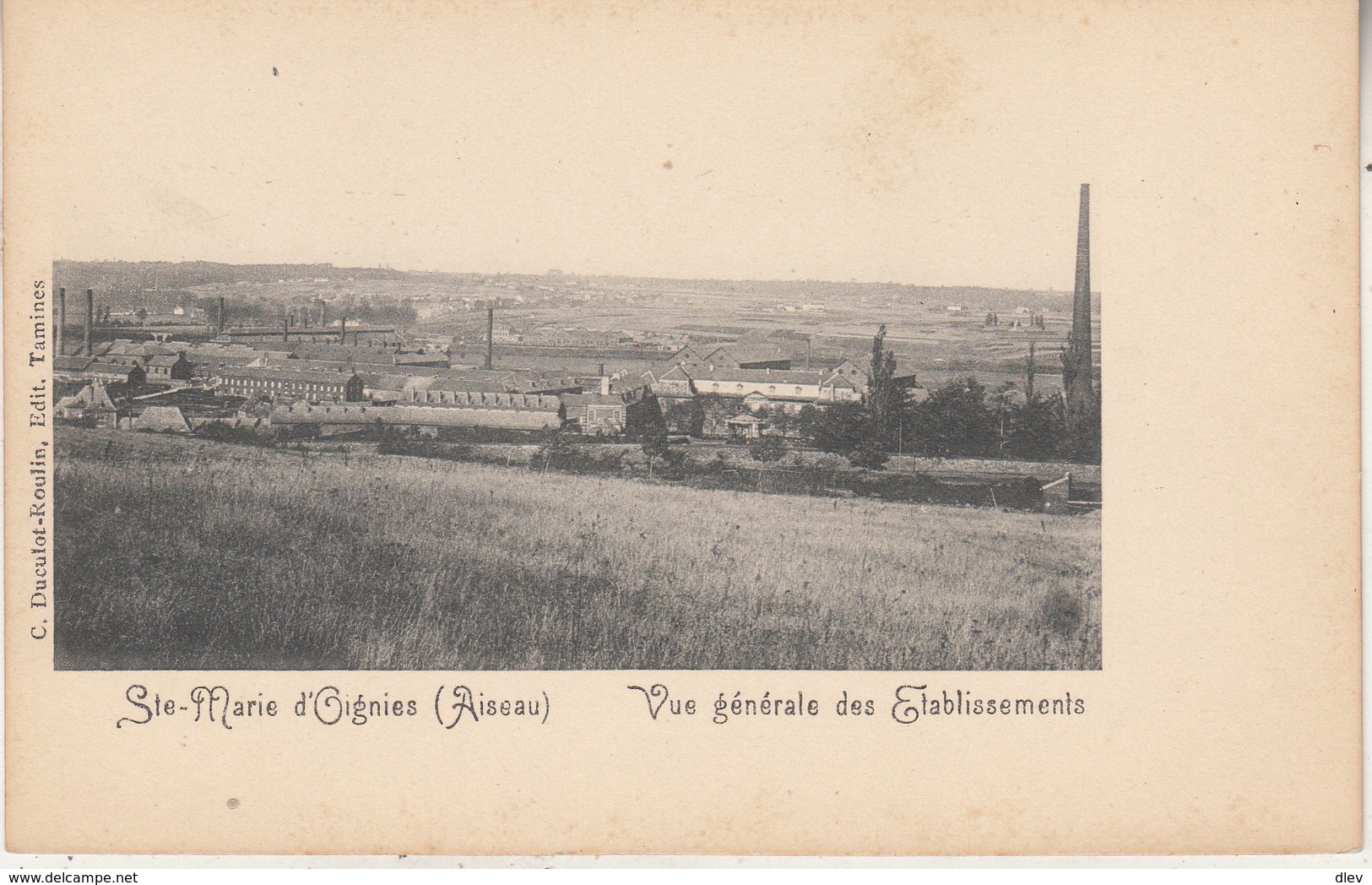 Ste-Marie D' Oignies (Aiseau) - Vue Générale Des Etablissements - Edit. C. Duculot-Roulin, Tamines - Aiseau-Presles