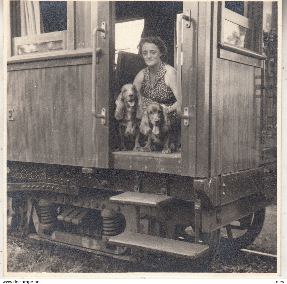 Train - Voiture De Service - Femme Avec Chiens - 1957 - Photo 9.5 X 9.5 Cm - Trains