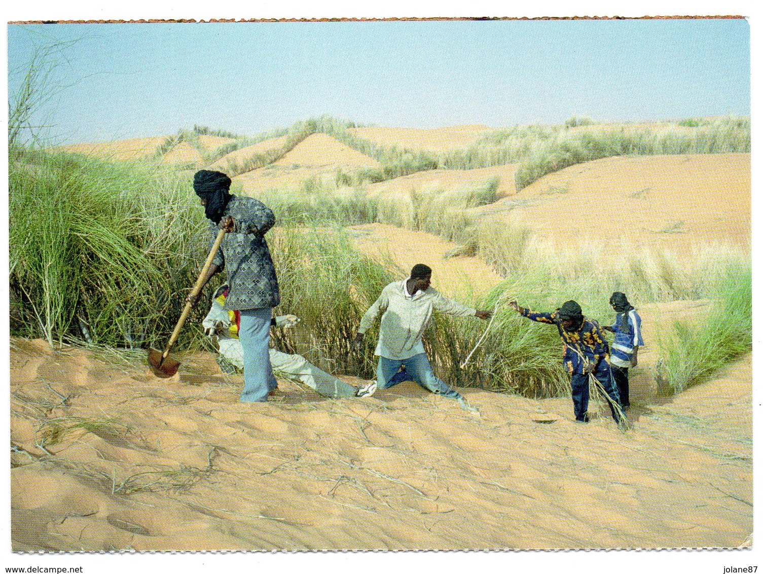 CPM        MAURITANIE    LES VENTS DE SABLE SONT OMNI PRESENTS    L HOMME DEFIE LE DESERT POUR SURVIVRE - Mauritanie