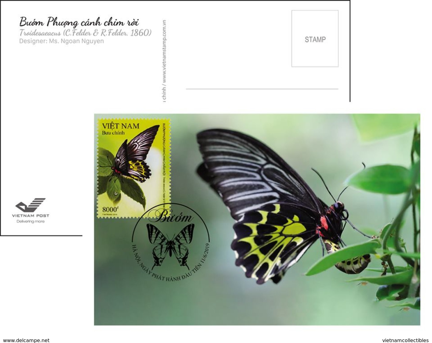 Full Set Of Maxi Maxicards Card Viet Nam - Issued On 11th Of Jun 2019 : Butterfly - Vietnam