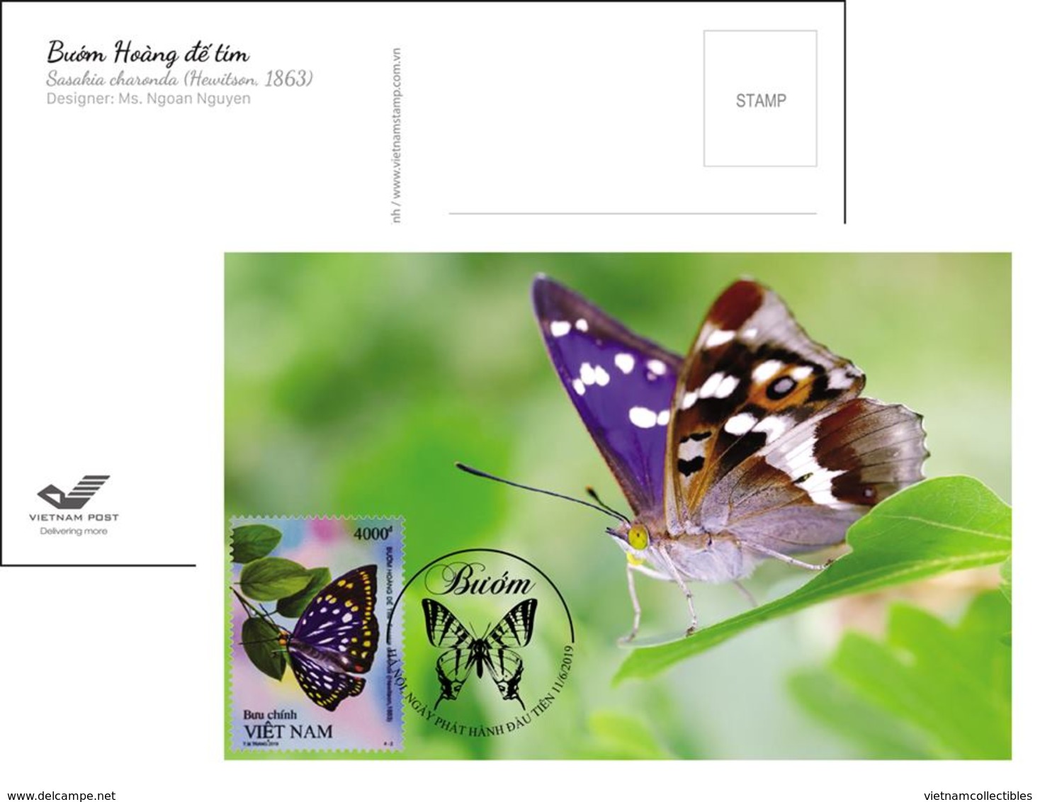 Full Set Of Maxi Maxicards Card Viet Nam - Issued On 11th Of Jun 2019 : Butterfly - Vietnam