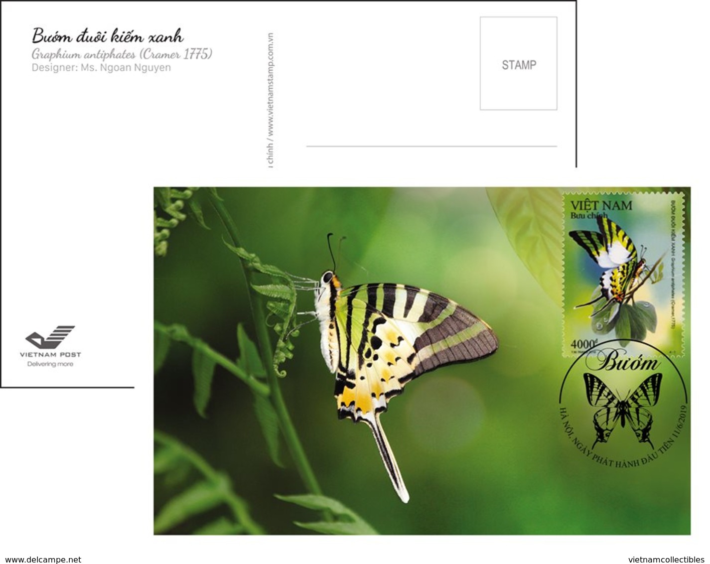 Full Set Of Maxi Maxicards Card Viet Nam - Issued On 11th Of Jun 2019 : Butterfly - Vietnam