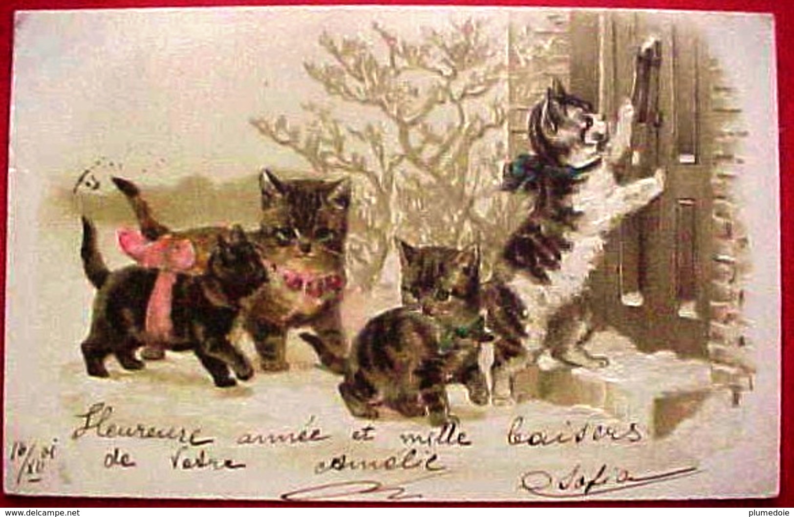 Cpa Gaufrée ADORABLE FAMILLE CHAT , PETITS CHATS A LA PORTE , 1902 ,  DRESSED CAT KITTEN   Early Pc KATZE Embossed - Chats