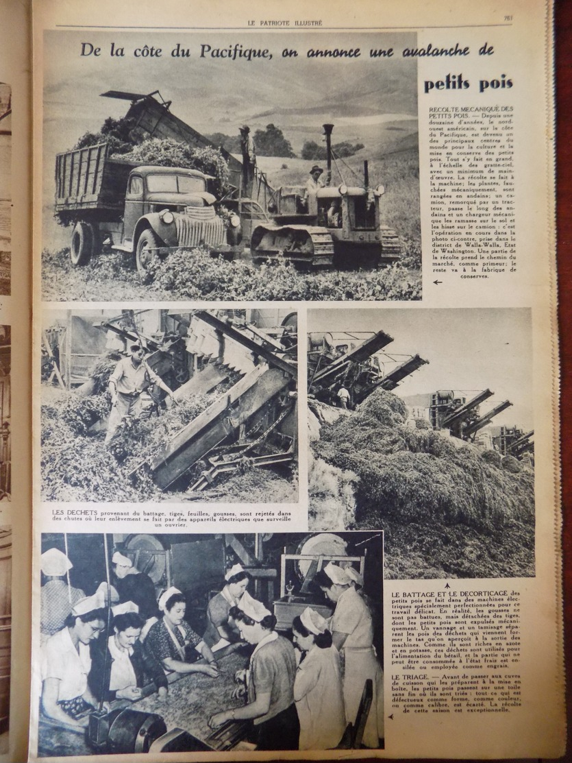 Le Patriote Illustré N° 36/1946 Cygnes Menacés De Disparition - Arméniens - Airelles , Délices Des Américains à La Noel. - 1900 - 1949