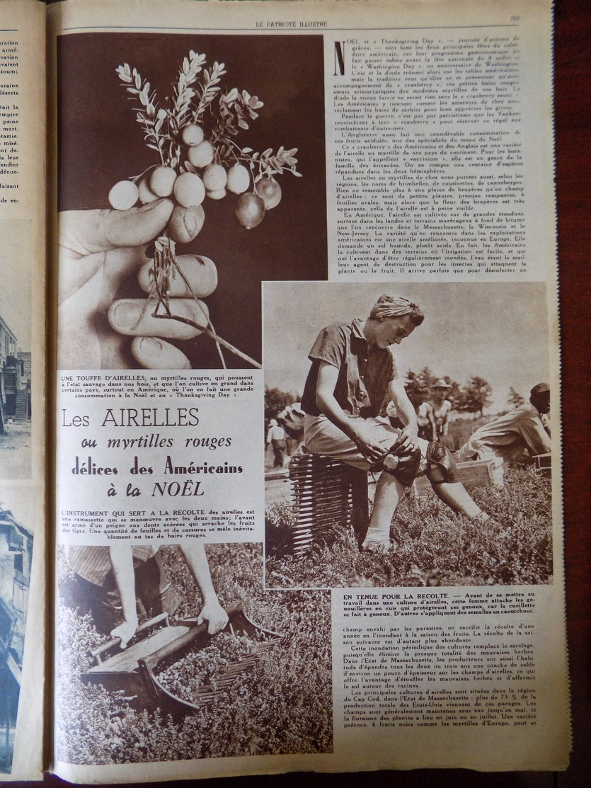 Le Patriote illustré n° 36/1946 cygnes menacés de disparition - Arméniens - airelles , délices des américains à la Noel.