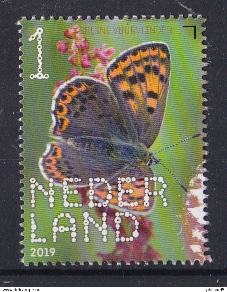 Nederland -11 Juni 2019 - Beleef De Natuur - Vlinders - Bruine Vuurvlinder - Butterflies/Schmetterlinge/Pappillons - MNH - Neufs