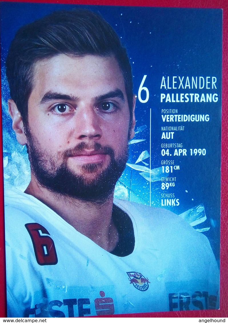 Red Bull Salzburg  Alexander Pallestrang - Autographes