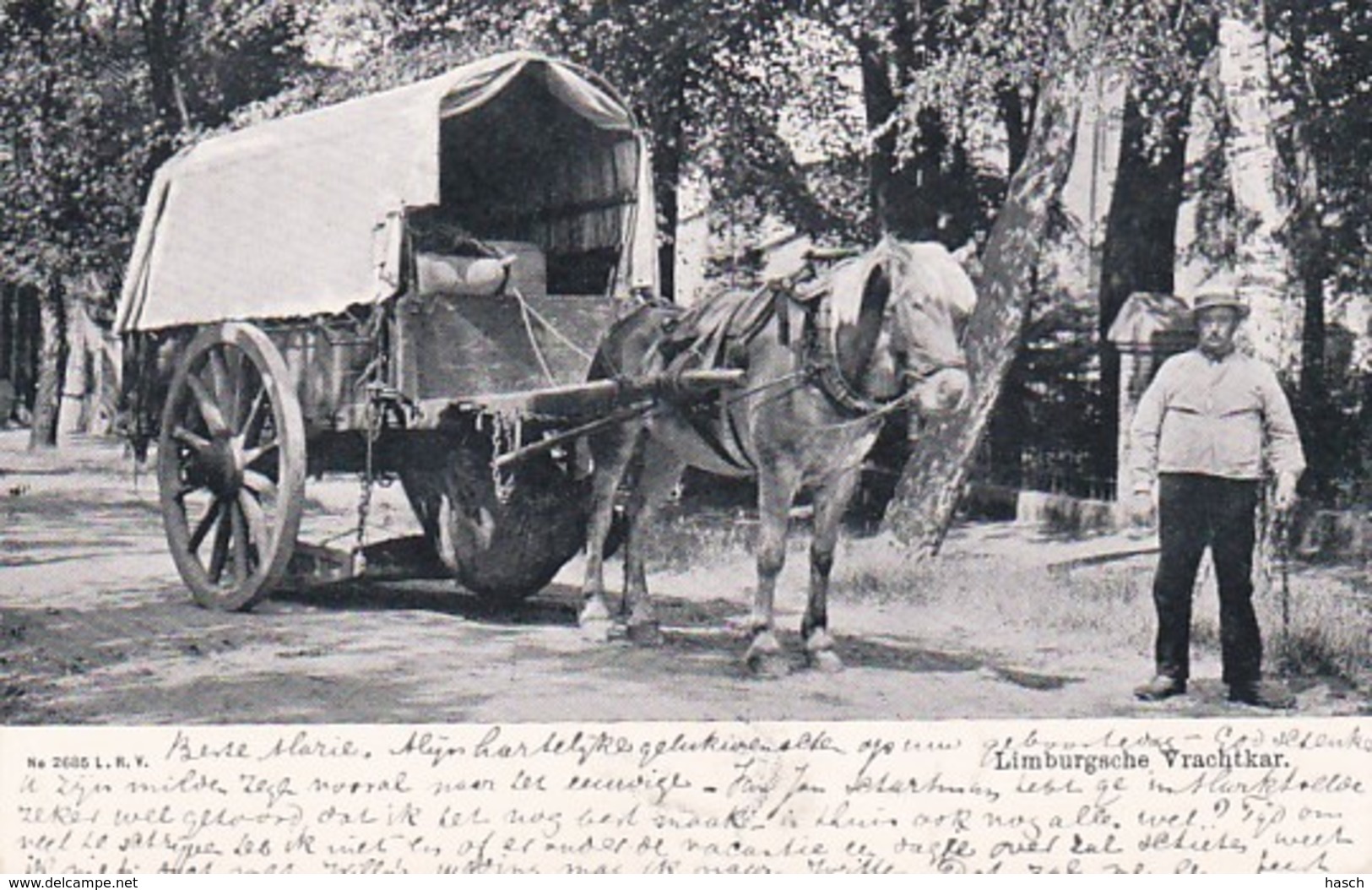 2604158Roermond, Limburgsche Vrachtkar Paard En Wagen Volksleven. (poststempel 1906) (minuscule Vouwen In De Hoeken) - Roermond