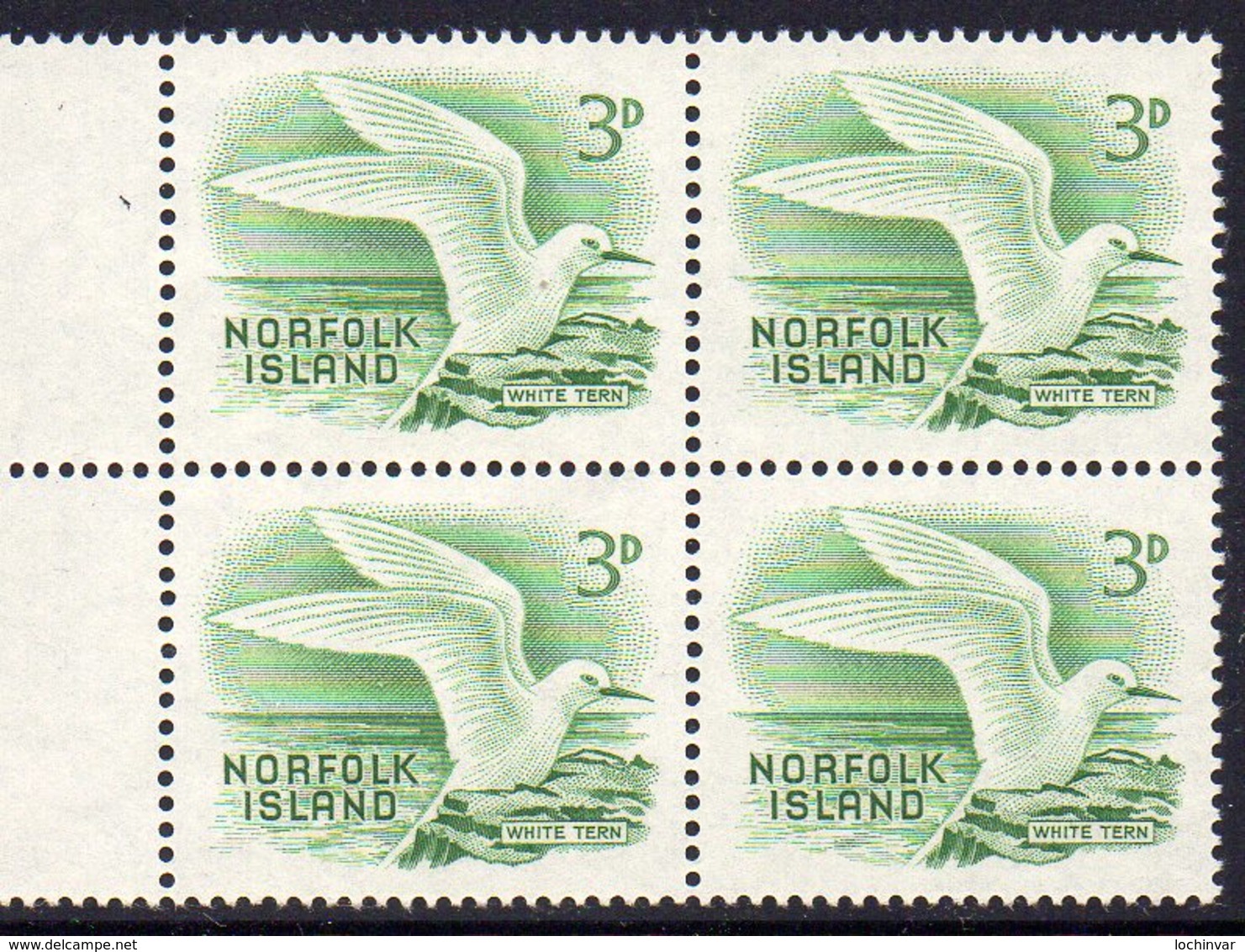 NORFOLK Is, 1961  3d WHITE TERN BLOCK 4 MNH - Norfolk Island