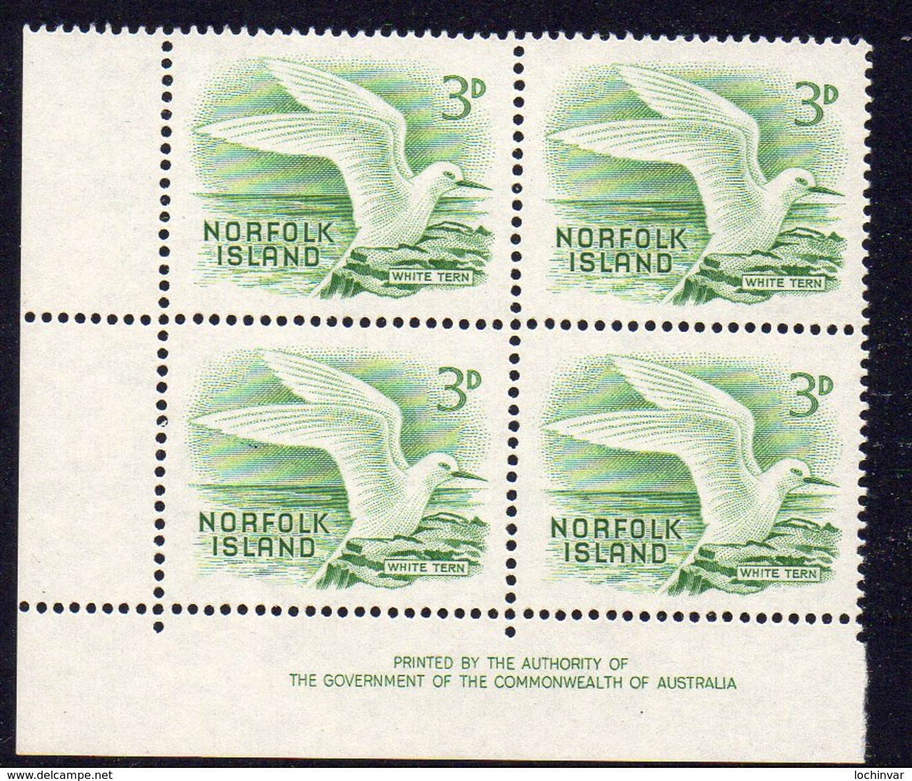 NORFOLK Is, 1961  3d WHITE TERN IMPRINT BLOCK 4 MNH - Ile Norfolk