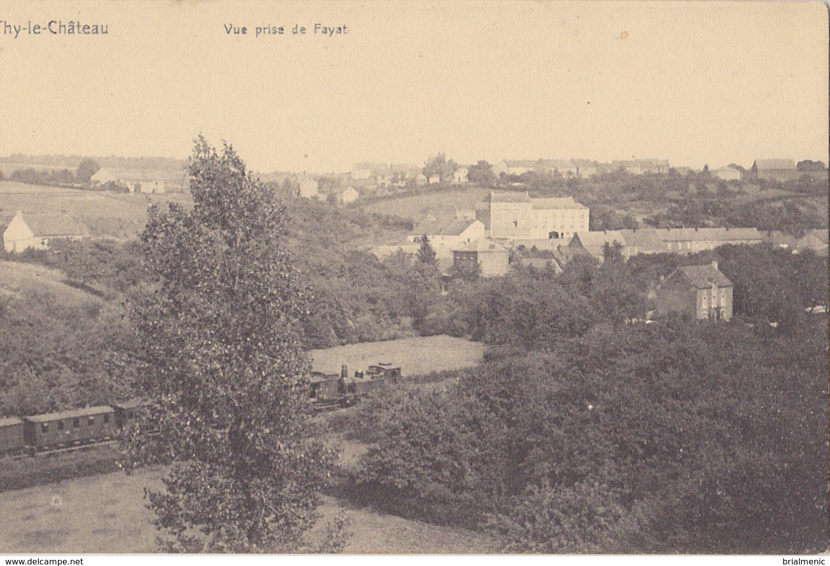 THY LE CHATEAU  ( WALCOURT  Vue Prise De Fayat - Walcourt