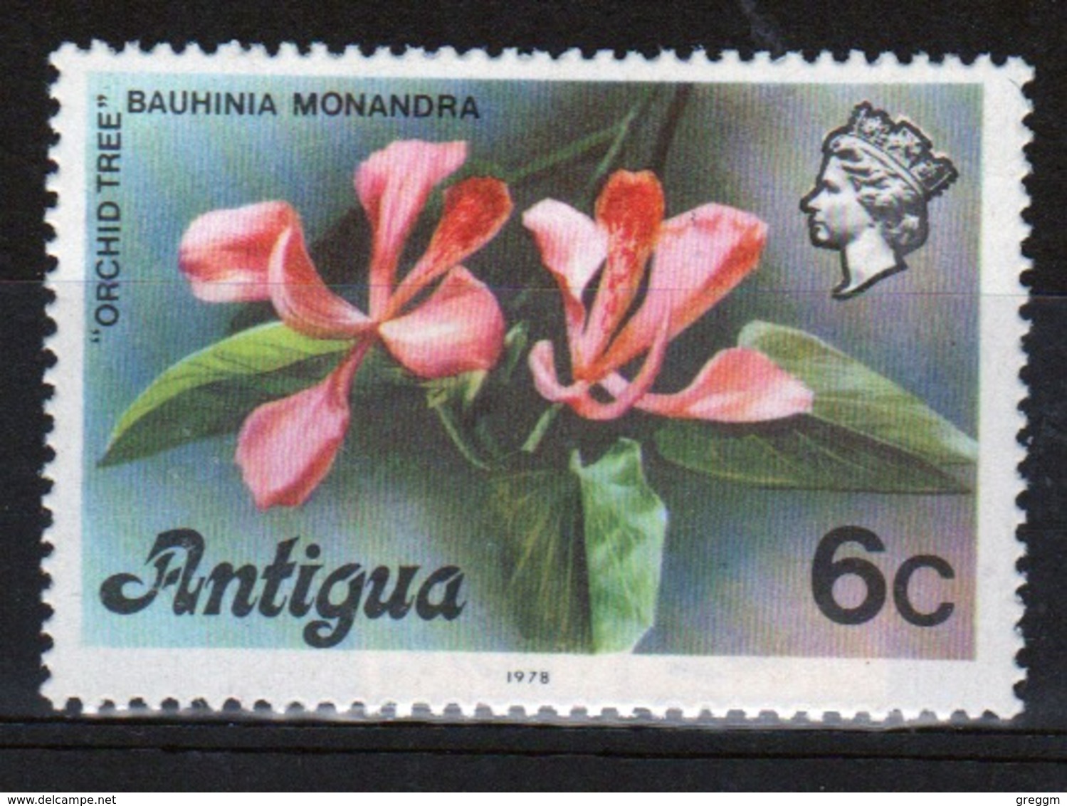 Antigua 1976 Single 6c Stamp From The Definitive Set. - 1960-1981 Ministerial Government