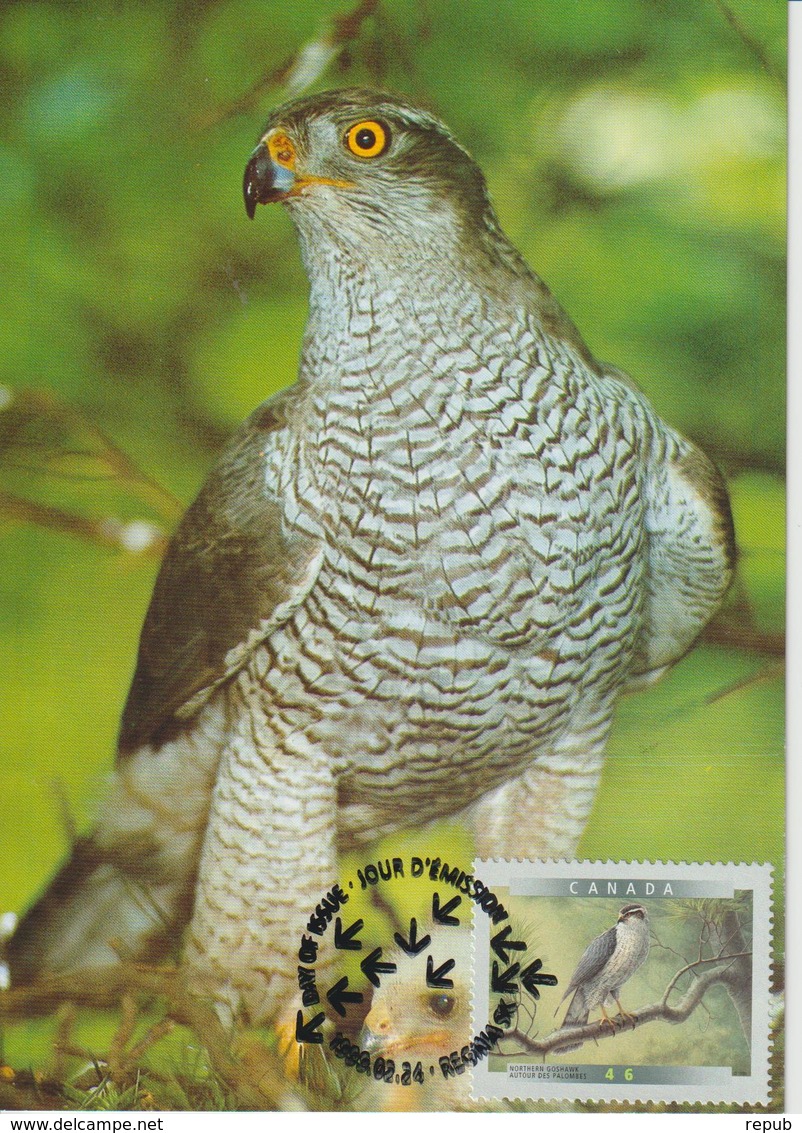 Canada Carte Maximum 1999 Oiseaux Autour 1633 - Maximum Cards