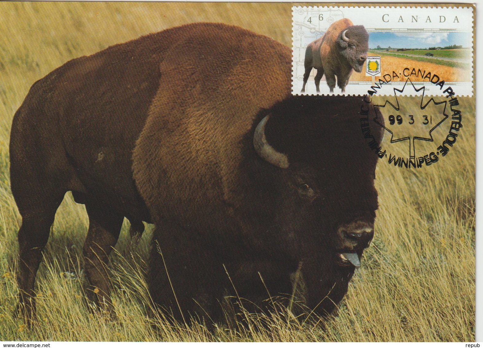 Canada Carte Maximum 1999 Bison 1644 - Maximumkaarten