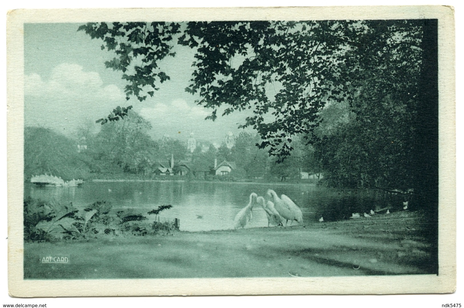 LONDON : ST JAMES' PARK - BEAUTIES OF LONDON - SWANS - London Suburbs