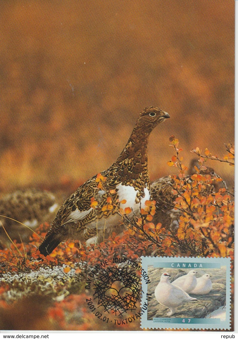 Canada Carte Maximum 2001 Oiseaux Lagopède 1840 - Tarjetas – Máxima