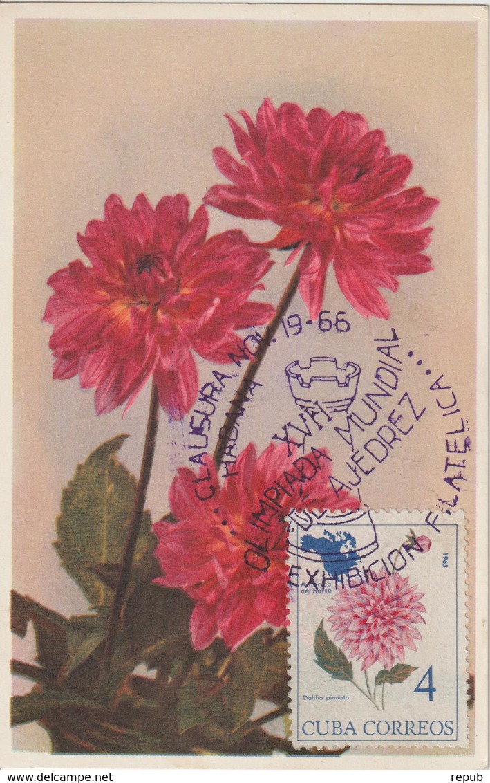 Cuba Carte Maximum 1965 Fleurs Dalhia 868 - Cartes-maximum