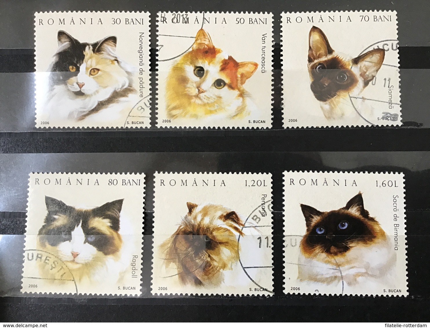 Roemenië / Romania - Complete Set Katten 2006 - Used Stamps