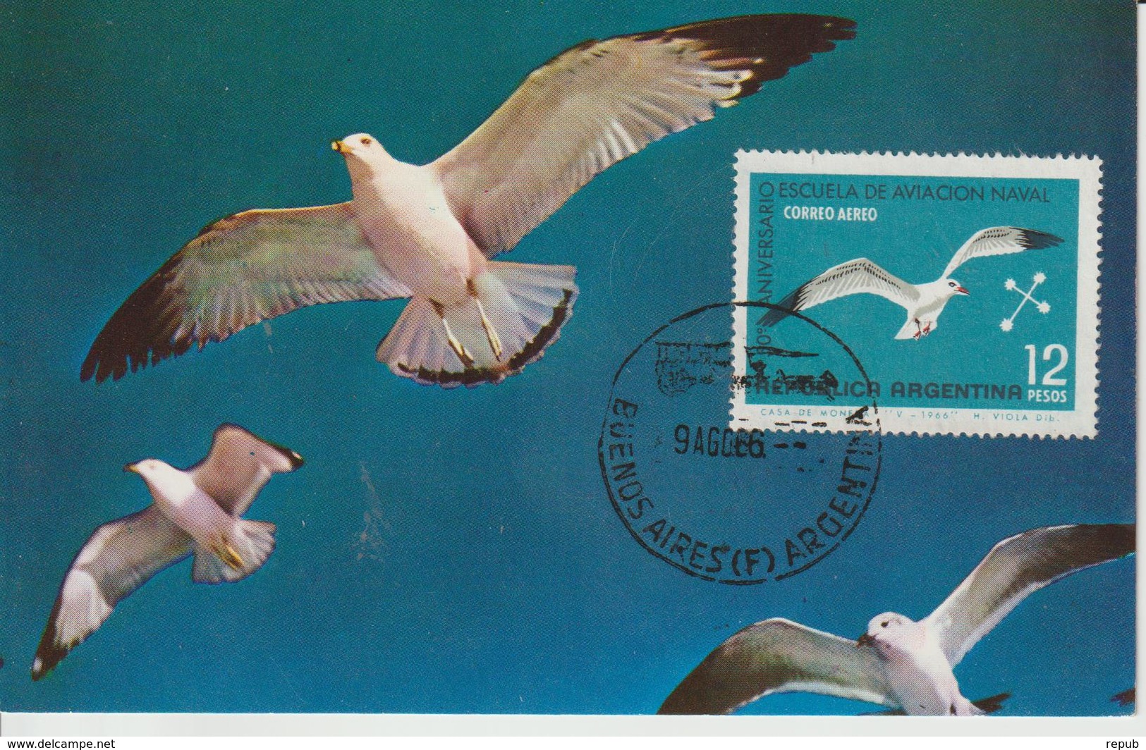 Argentine Carte Maximum 1966 Oiseaux Albatros PA 114 - Posta Aerea