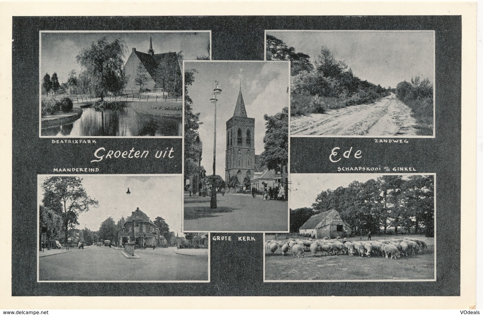 CPSM - Pays-Bas - Groeten Uit Ede - Ede