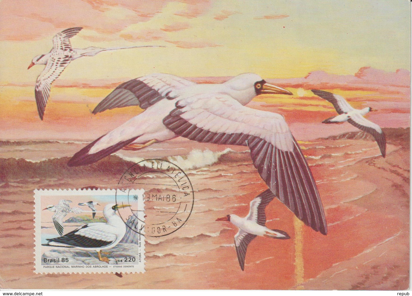 Brésil Carte Maximum 1985 Oiseaux 1734 - Cartoline Maximum