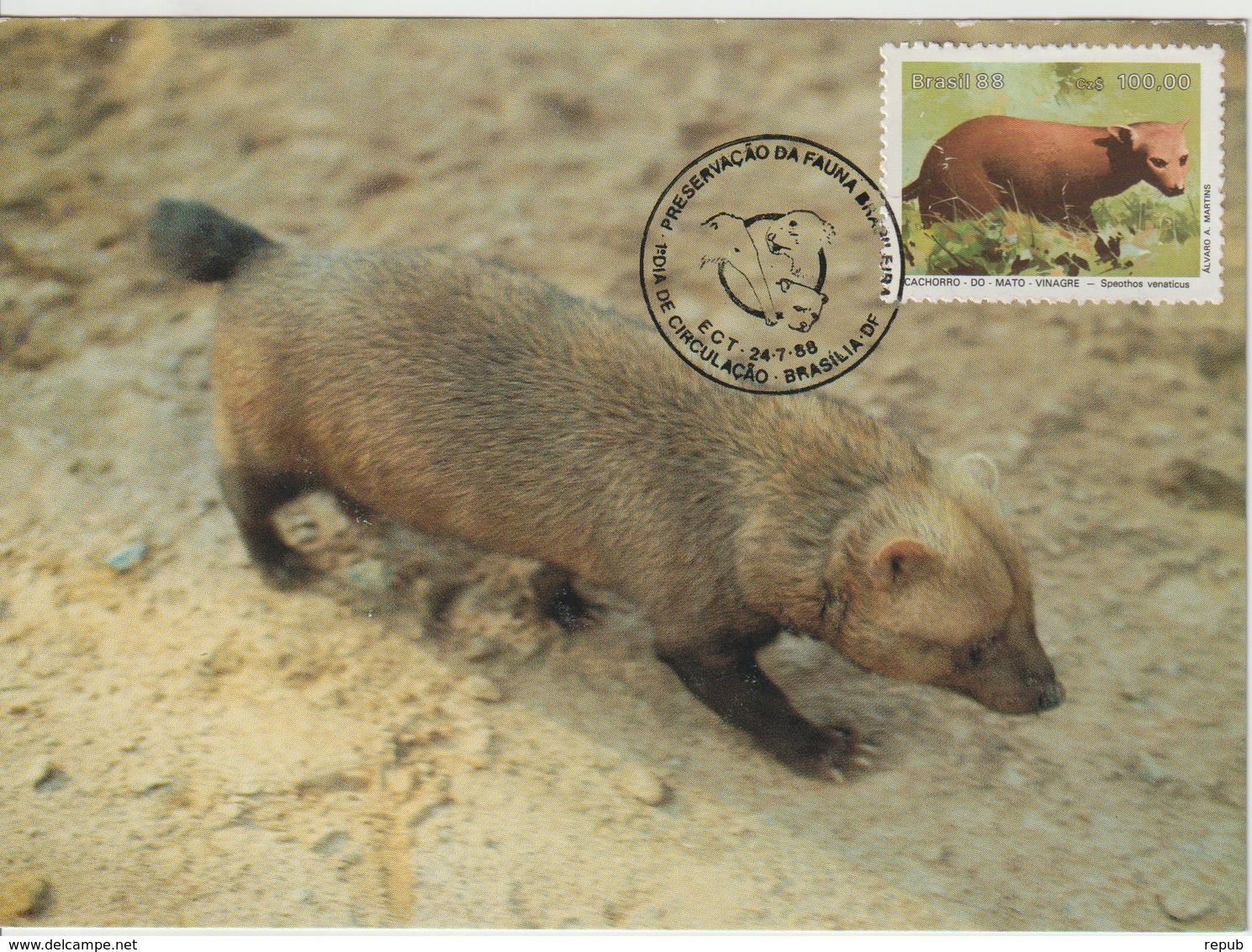 Brésil Carte Maximum 1988 Animaux 1882 - Tarjetas – Máxima