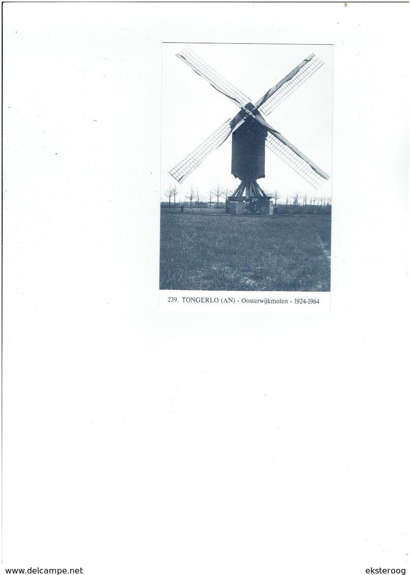 Tongerlo 239 - Oosterwijkmolen - 1924-1964 - Westerlo