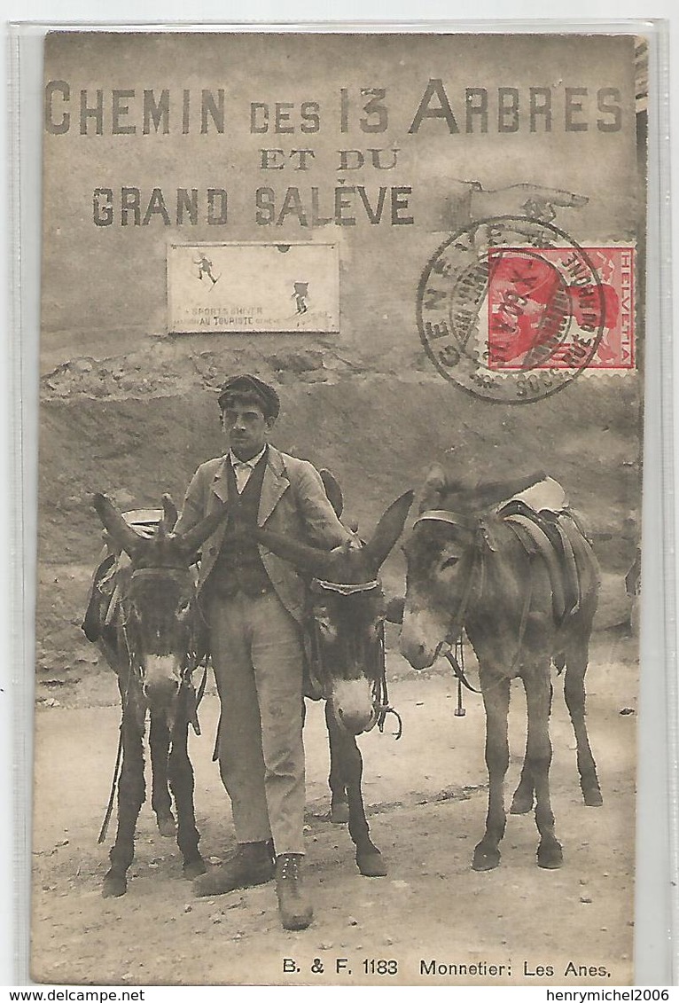 74 Hautes Savoie - Monnetier Les Anes Chemin Des 13 Arbres Et Du Grand Salève Ane Cachet Genève 1909 -2scans - Autres & Non Classés