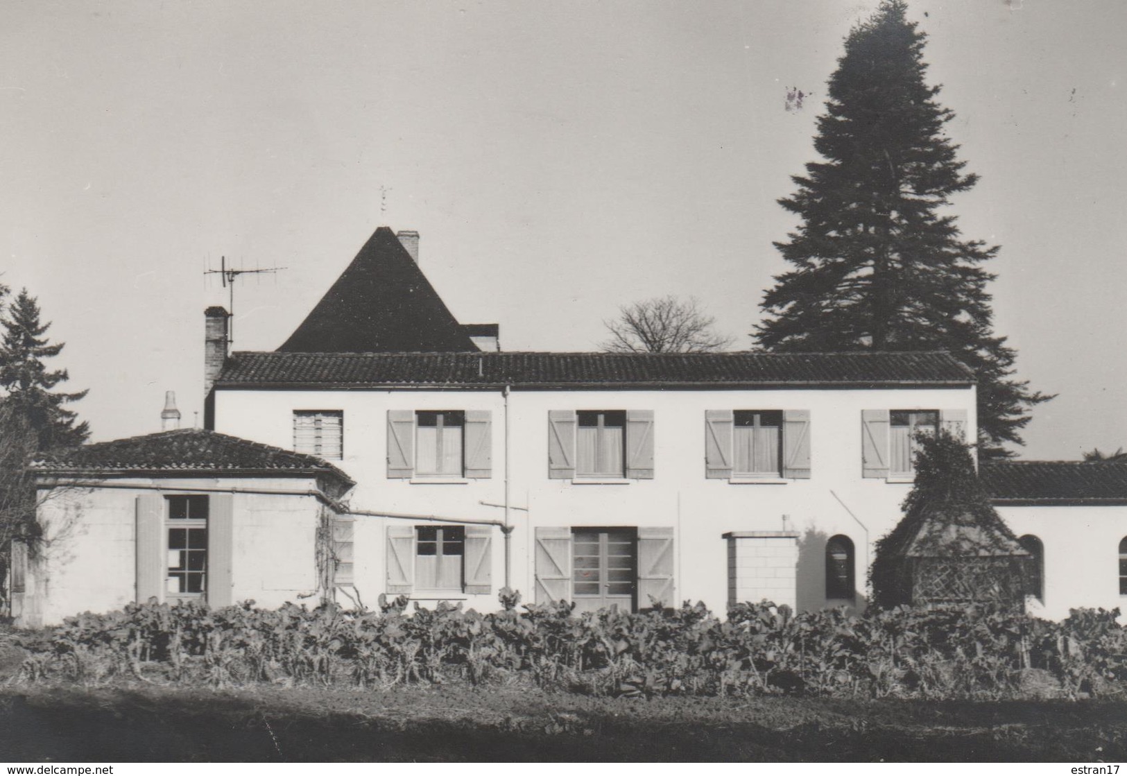 17 SAINTES CARTE PHOTO MAISON DE RETRAITE DU CLERGE VOIVILLE - Saintes