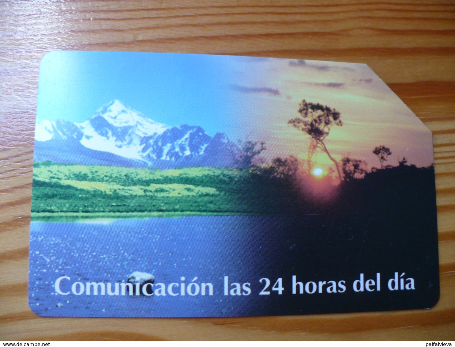 Phonecard Bolivia - Magnetic - Bolivia