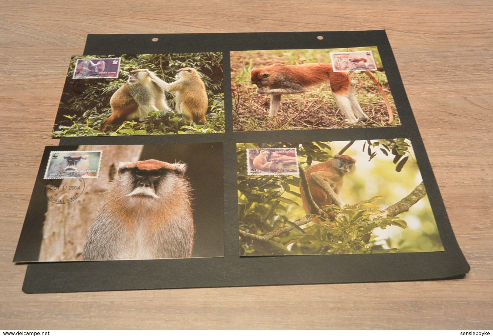 M6465- Set Maximum Cards - Sierra Leone - 2004 - Patas Monkey - Fish  -  - Weight 20gr. - Cartoline Maximum