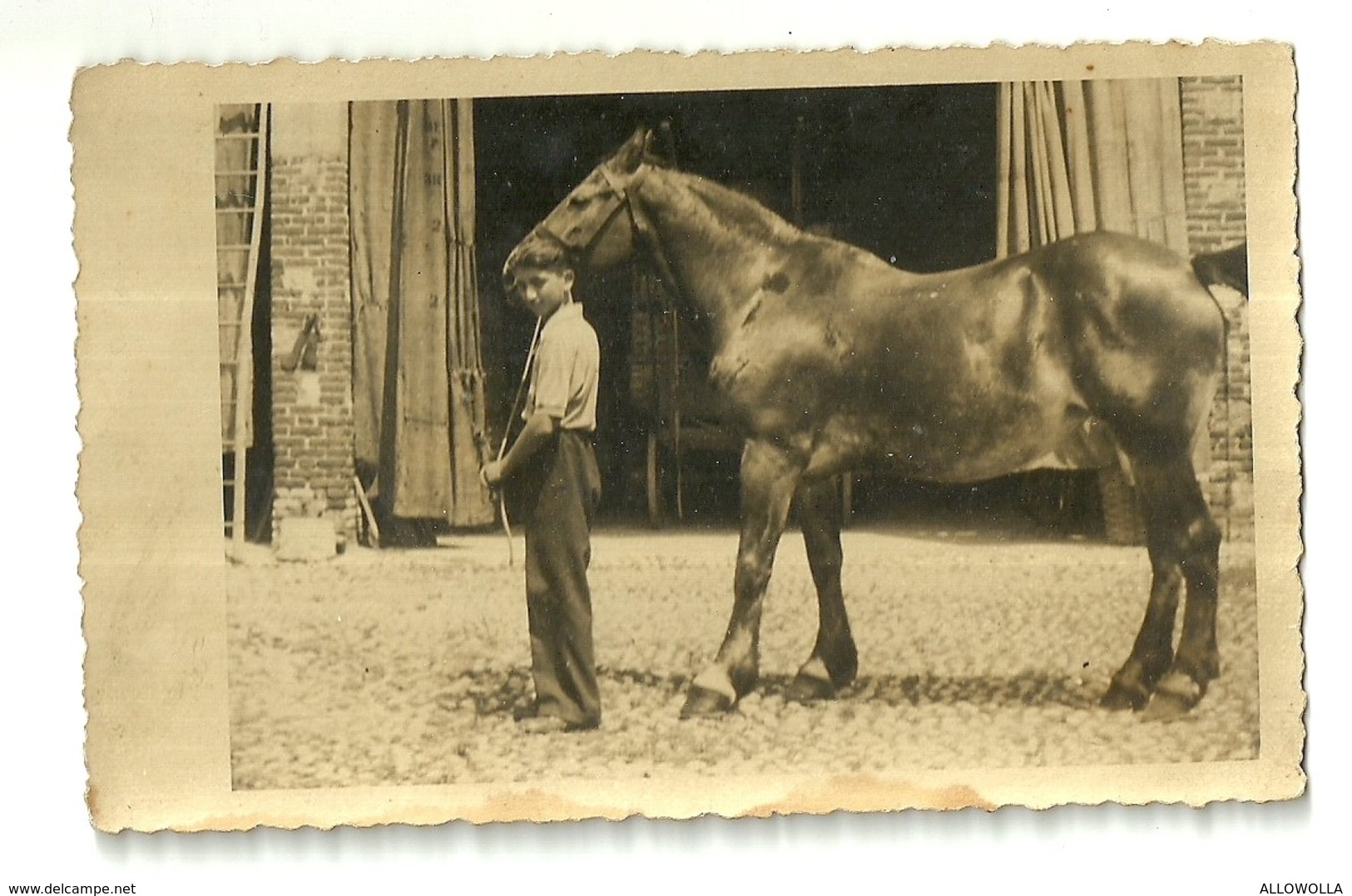 4197 " RAGAZZO CON CAVALLO " FOTO ORIGINALE - Persone Anonimi