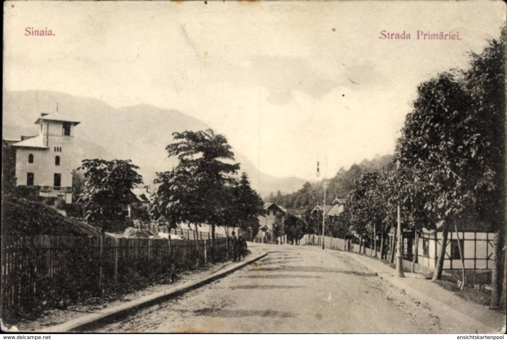 Cp Sinaia Rumänien, Strada Primariei, Straßenpartie Im Ort - Romania