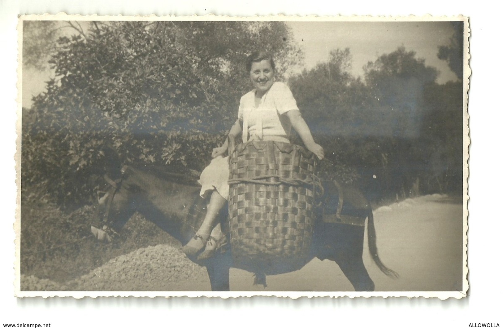 4201" SIGNORA IN GROPPA ALL'ASINELLO-28/10/1936 " FOTO ORIGINALE - Persone Anonimi