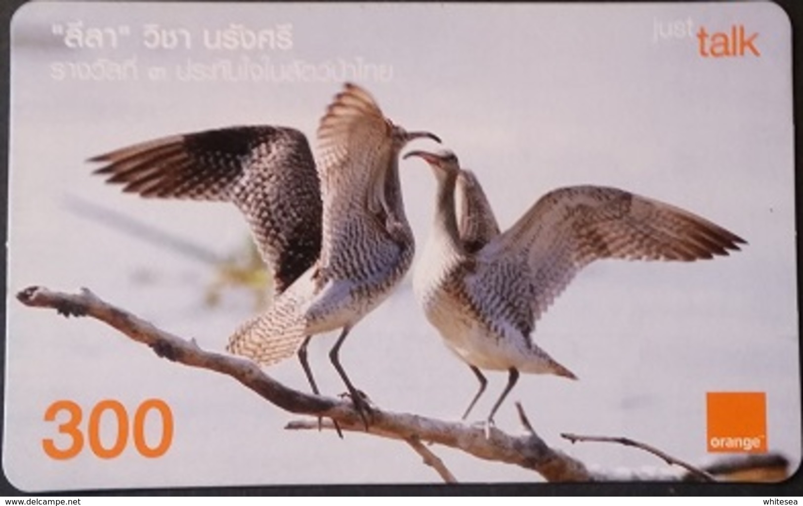 Mobilecard Thailand - Orange  - Vogel , Bird - Thaïland