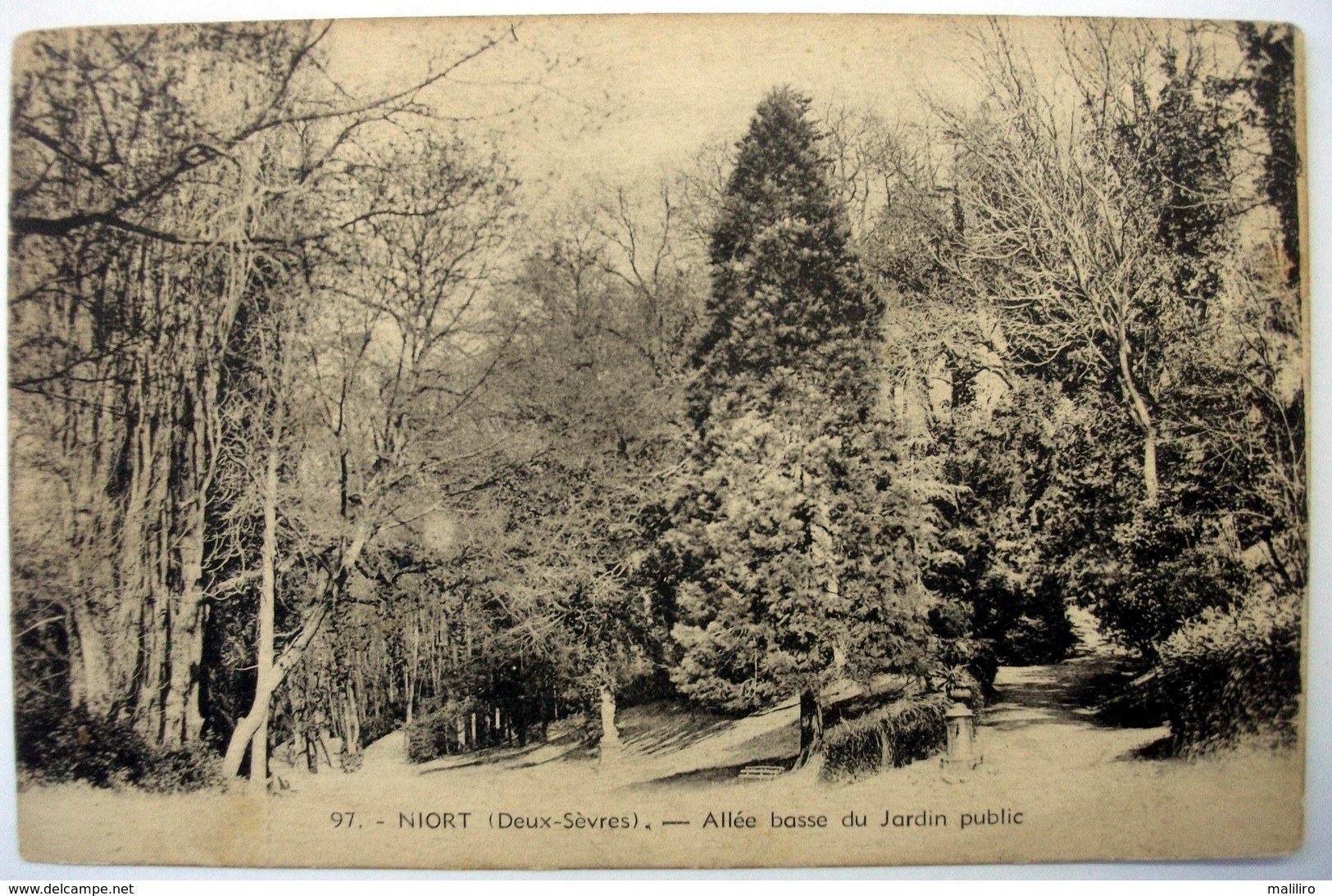 79 - NIORT (Deux Sèvres)- Allée Basse Du Jardin Public - Niort