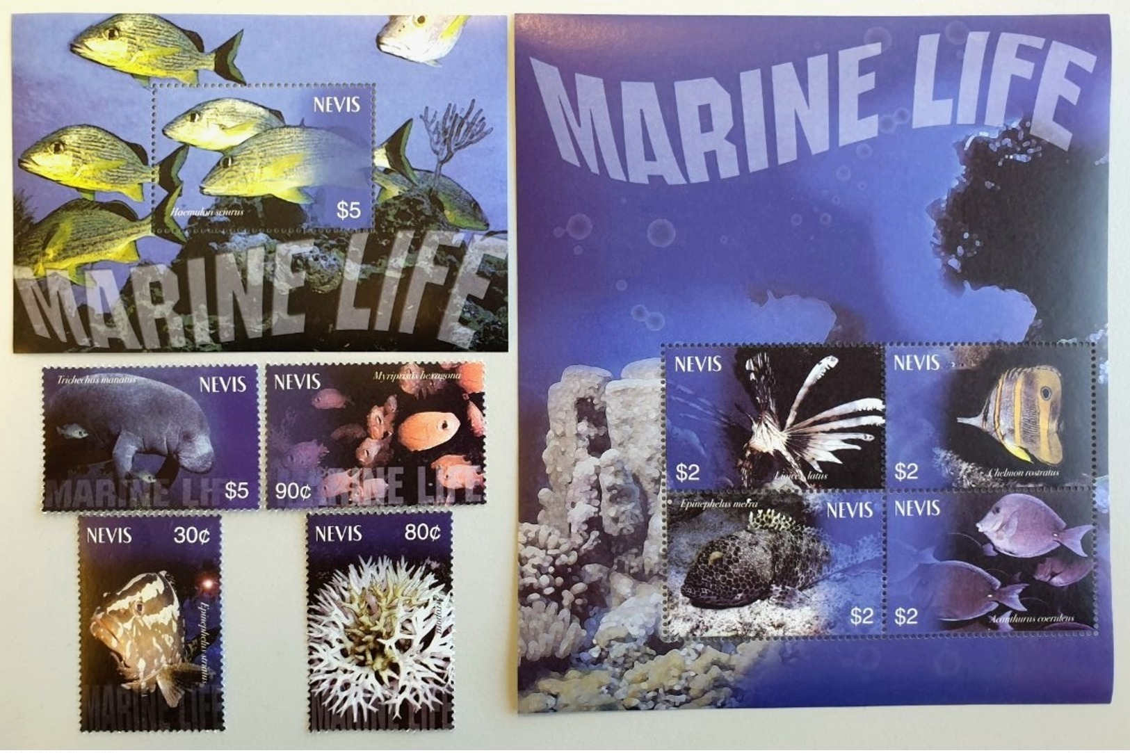 # Nevis 2003**Mi.1931-39  Sea Life , MNH [17 II;27] - Marine Life