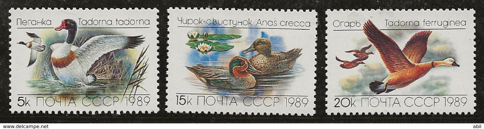 Russie 1989 N° Y&T :   5641 à 5643 ** - Ungebraucht