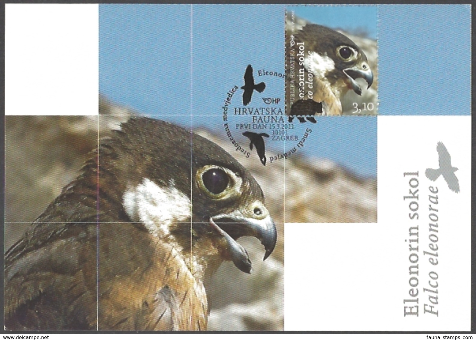 Croatia - Croatian Fauna - Eleonora's Falcon, Maximum Card, 2011 - Adler & Greifvögel