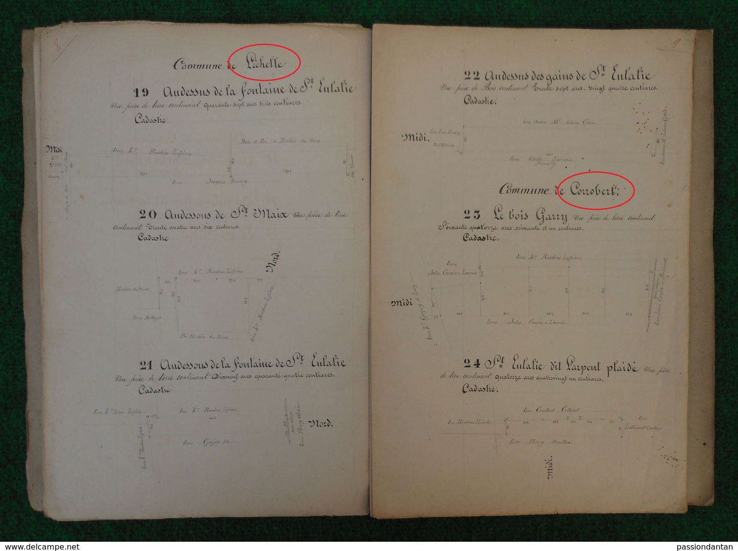 Cahier d'arpentage daté de 1877 - Département de la Marne - Commune de Corrobert et Montmirail - L'Échelle le Franc